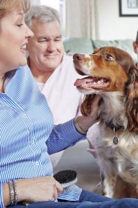Dank des Beruhigungspheromons können Mensch und Hund die Silvesternacht wieder entspannt erleben. Foto: djd/Ceva Tiergesundheit GmbH/Liz Gregg
