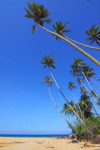 Eine gute Planung ist unverzichtbar, damit sich alle Kollegen ihre Urlaubsträume möglichst zum gewünschten Termin erfüllen können.