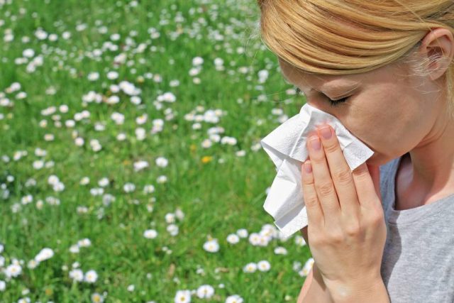 pollen Heftiger Niesreiz, Fließschnupfen und oft auch Juckreiz in Augen, Nase und im Rachen sind typische Heuschnupfensymptome.