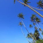 Eine gute Planung ist unverzichtbar, damit sich alle Kollegen ihre Urlaubsträume möglichst zum gewünschten Termin erfüllen können.