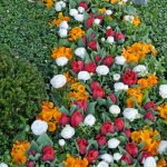 Für die Grabgestaltung steht jetzt ein großes Spektrum an Blumen und Pflanzen zur Verfügung.