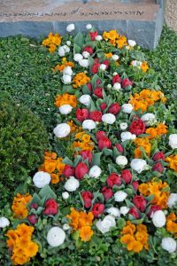 Für die Grabgestaltung steht jetzt ein großes Spektrum an Blumen und Pflanzen zur Verfügung.