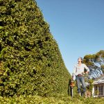 Zum Frühjahr wird der Garten wieder in Form gebracht. Ein gründlicher Hecken- und Gehölzschnitt gehört in jedem Fall dazu.