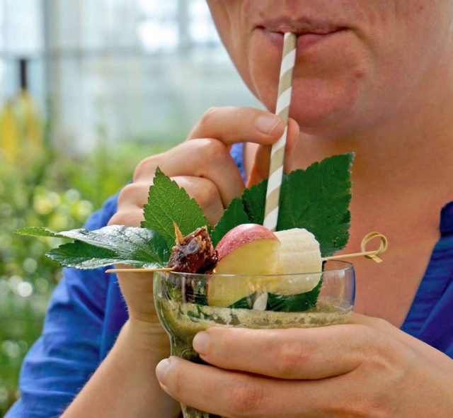 smoothie gemuese Mit Kräuter-Smoothies kann man gesundes Grünzeug auch Gemüsemuffeln schmackhaft machen.