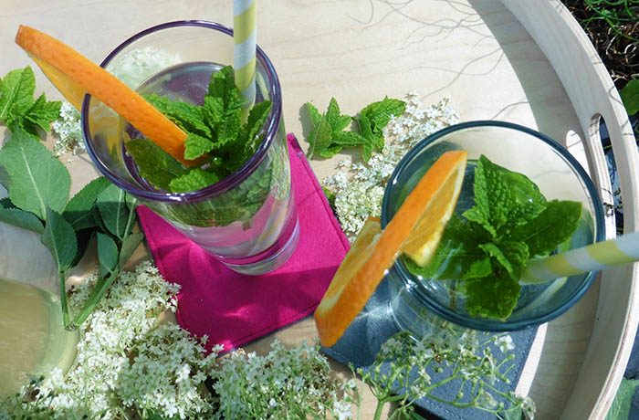 alkoholfreier Holler-Spritz