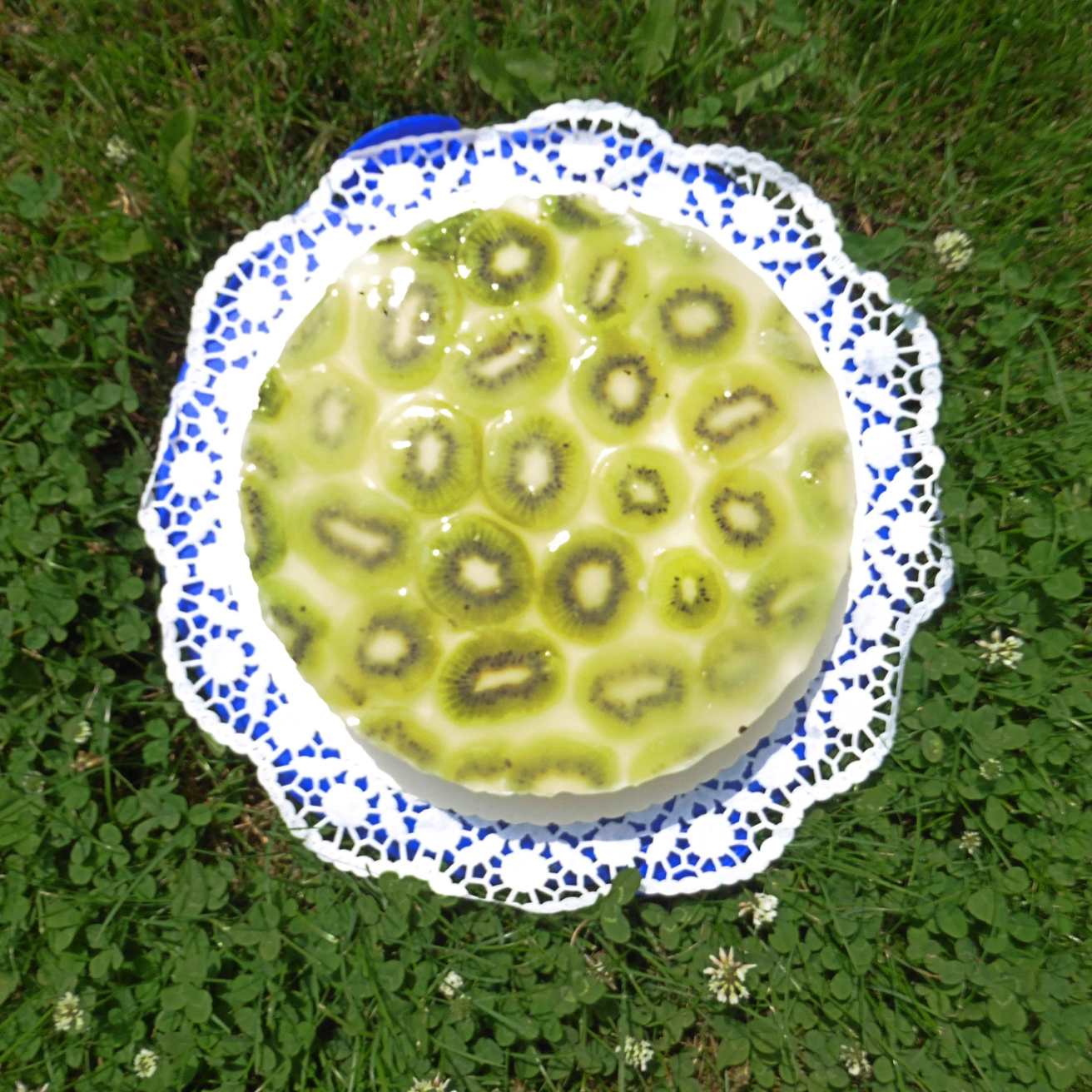 hugo-kiwi-torte