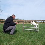 Agility zählt zu den beliebtesten Sportarten und sorgt wie kaum ein anderes Training für viel Spaß und Action.