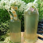 selbstgemachter Holunderblütensirup