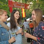 Weine aus hessischen Lagen werden in zahlreichen Weindörfern zum Verkosten angeboten.