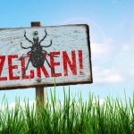 Urlaubszeit ist Zeckenzeit. Vielen Reisenden ist jedoch nicht bewusst, dass Erkrankungen mit FSME auch in beliebten Ferienregionen und den deutschen Risikogebieten möglich sind.