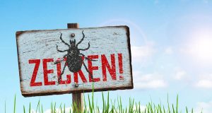 Urlaubszeit ist Zeckenzeit. Vielen Reisenden ist jedoch nicht bewusst, dass Erkrankungen mit FSME auch in beliebten Ferienregionen und den deutschen Risikogebieten möglich sind.
