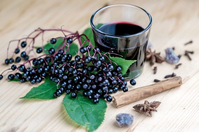 Glass of fresh elderberry syrup with ingredients Einfach, erfrischend und lecker - ein Glas Wasser mit selbstgemachtem Holunderbeerensirup.