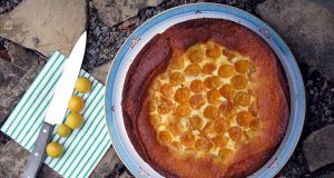 Mirabellen-Käsekuchen mit Tonkabohne von Törtchenfieber