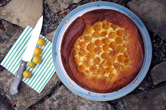 Marillen-Käsekuchen Mirabellen-Käsekuchen mit Tonkabohne von Törtchenfieber