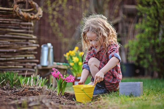 In der Erde graben, Blumen bestaunen und Unkraut zupfen - der eigenen Garten ist auch für Kinder ein Paradies.
