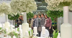 Freizeit, Garten & Touristik in Nürnberg