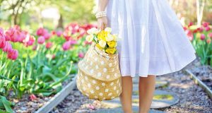 Frühling im Garten