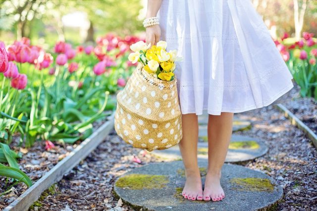 Frühling im Garten