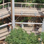 Der Baumwipfelpfad Ebrach führt in bis zu 26 Metern Höhe durch den Wald.