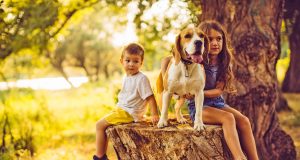 Besonders wenn der Familienhund im engen Körperkontakt mit Kindern steht, wollen viele Tierhalter zum Zeckenschutz keine chemischen Mittel einsetzen.