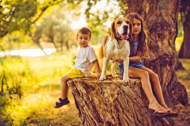 Besonders wenn der Familienhund im engen Körperkontakt mit Kindern steht, wollen viele Tierhalter zum Zeckenschutz keine chemischen Mittel einsetzen.