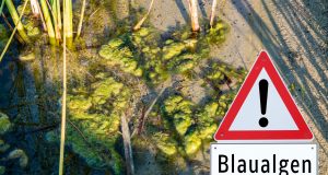 Badeverbot: im Kleidersee Augsfeld wurden Blaualgen gefunden.