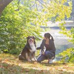 Die Körpersprache von Hunden