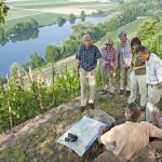 Im Herbst ist Weinlesezeit im Fränkischen Weinland, beim Wandern kann man sie hautnah und genussvoll erleben.