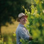 Wörners Schloss, bioenergetischer Cosmowein
