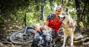 Wenn es um artgerechte Hundeernährung geht, orientieren sich Hundehalter gerne am Wolf - an seiner Beute und seinem Fressverhalten.