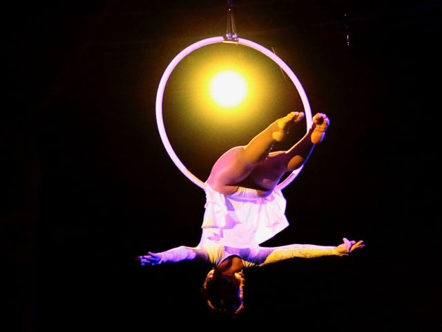 Bamberger Zirkus Varieté e.V.