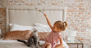 Katzen gelten als verschmust und reinlich. Doch viele eigenwillige Miezen können durchaus Zähne und Krallen zeigen und diese auch nutzen.