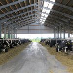 Die Haltung einer größeren Anzahl von Tieren steht nicht im Zusammenhang mit deren Wohlbefinden und deren Gesundheit.