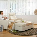 Tierhaare, Kratzspuren und undefinierbare Flecken auf dem Sofa und den Sesseln - wer mit Hund oder Katze zusammenlebt, kennt das Problem.