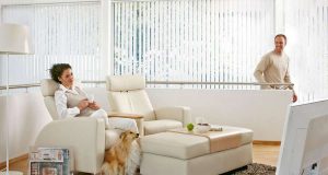 Tierhaare, Kratzspuren und undefinierbare Flecken auf dem Sofa und den Sesseln - wer mit Hund oder Katze zusammenlebt, kennt das Problem.