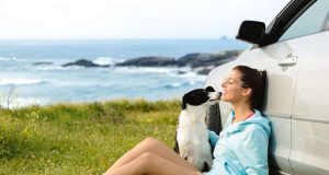 Mit dem Hund in den Urlaub fahren - das ist für viele Hundebesitzer selbstverständlich.