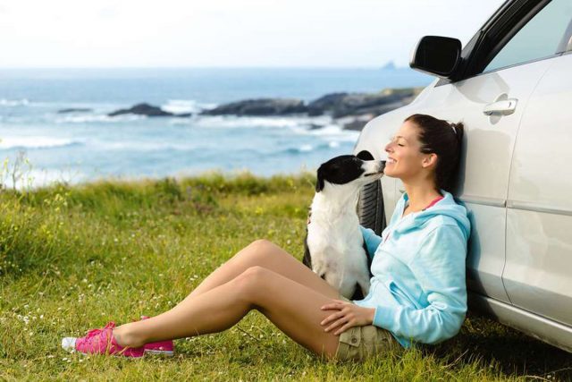 hund-urlaub Mit dem Hund in den Urlaub fahren - das ist für viele Hundebesitzer selbstverständlich.