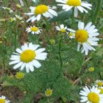 Wandern Bad Bocklet