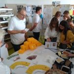 Messebesucher kommen mit Unternehmen, Vereinen und verschiedenen Organisationen direkt ins Gespräch. Rund 45 Infostände bieten einen guten Überblick über regionale Job- und Ehrenamtsangebote sowie Ausbildungsberufe