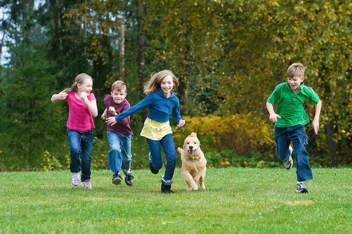 Die meisten Kinder lieben Hunde und pflegen wie selbstverständlich ein soziales Miteinander mit den Tieren. Bissverletzungen Foto: djd/Hermes Arzneimittel GmbH/Imagesourc