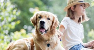 Bissverletzungen: So friedlich läuft das Zusammenleben zwischen Mensch und Hund nicht immer ab. Foto: djd/Hermes Arzneimittel GmbH/adpic