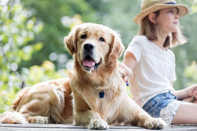 biss-titel Bissverletzungen: So friedlich läuft das Zusammenleben zwischen Mensch und Hund nicht immer ab. Foto: djd/Hermes Arzneimittel GmbH/adpic