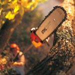 Hochentaster ermöglichen die Arbeit in der Höhe - etwa, um die Baumkronen auszulichten. Foto: djd/STIHL