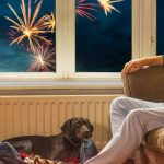 Für die Zeit des Feuerwerks sollte man seinem Hund einen kuscheligen Rückzugsort zur Verfügung stellen.