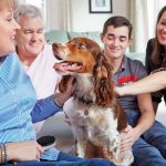 Hunde und Katzen: Lassen Sie Ihren Hund am Silvesterabend nicht allein. Vermitteln Sie ihm durch Ihre Anwesenheit Sicherheit. Foto: djd/CEVA/Liz Gregg
