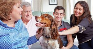 Hunde und Katzen: Lassen Sie Ihren Hund am Silvesterabend nicht allein. Vermitteln Sie ihm durch Ihre Anwesenheit Sicherheit. Foto: djd/CEVA/Liz Gregg
