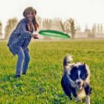 Zeckenarten: Hund und Katze brauchen unsere Fürsorge und die rechtzeitige Prophylaxe gegen Zeckenbefall.