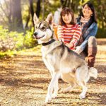 Zeckenarten: Schon ein einfacher Spaziergang mit dem Hund durch die Natur birgt die Gefahr des Befalls mit unliebsamen Parasiten. Foto: djd/www.formel-z.info/thx