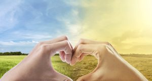 Nachhaltig & ökologisch sein. Immer mehr im Fokus: der Klimawandel
