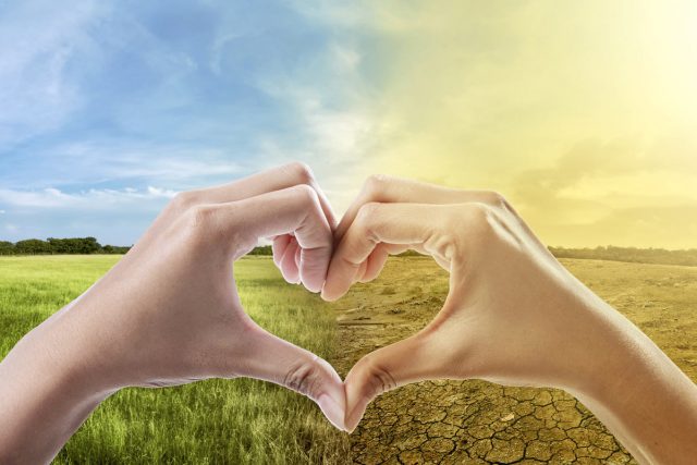 Nachhaltig & ökologisch sein. Immer mehr im Fokus: der Klimawandel